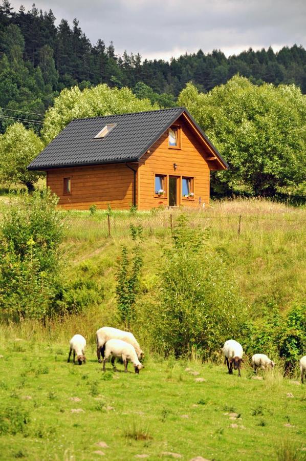 Vila Raj Helmuta Rabe  Exteriér fotografie