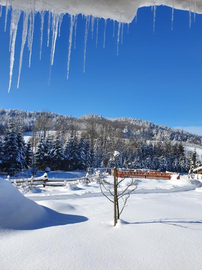 Vila Raj Helmuta Rabe  Exteriér fotografie