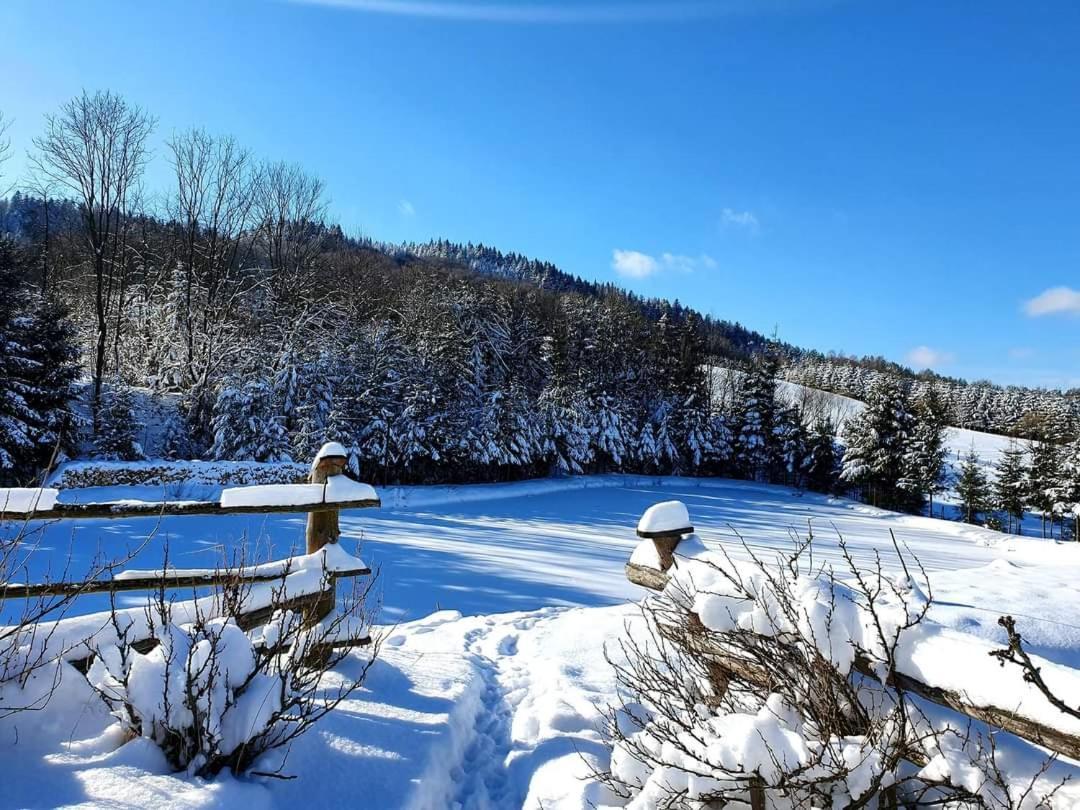 Vila Raj Helmuta Rabe  Exteriér fotografie